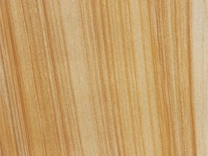 Teak Wood Sandstone